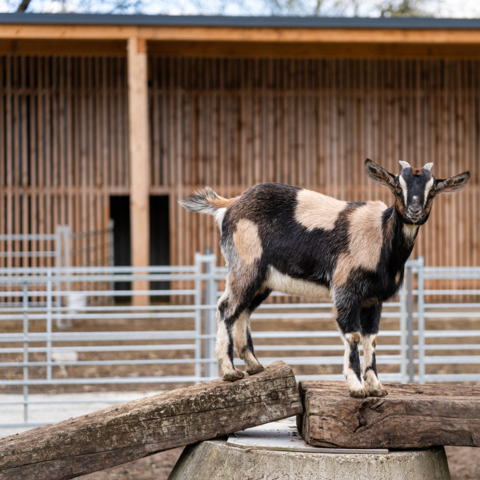 Babyland - outdoor playground